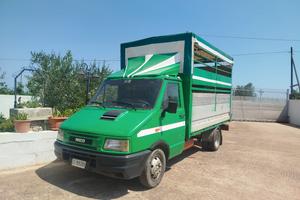 Iveco 35 10 trasporto bestiame