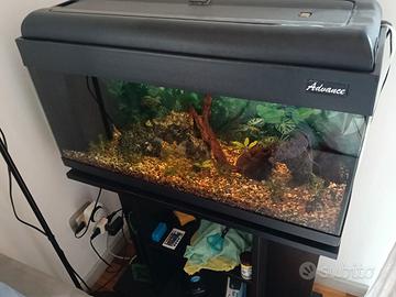 Acquario con tutti gli accessori
