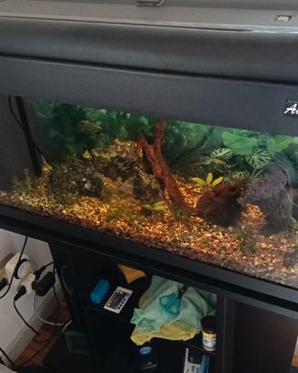 Acquario con tutti gli accessori