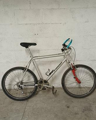 MTB trubbiani