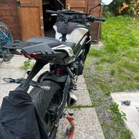 Street 765 R Triumph