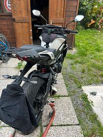 Street 765 R Triumph