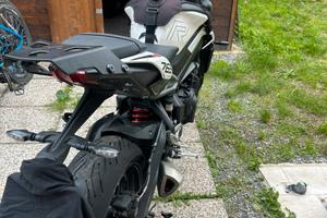 Street 765 R Triumph