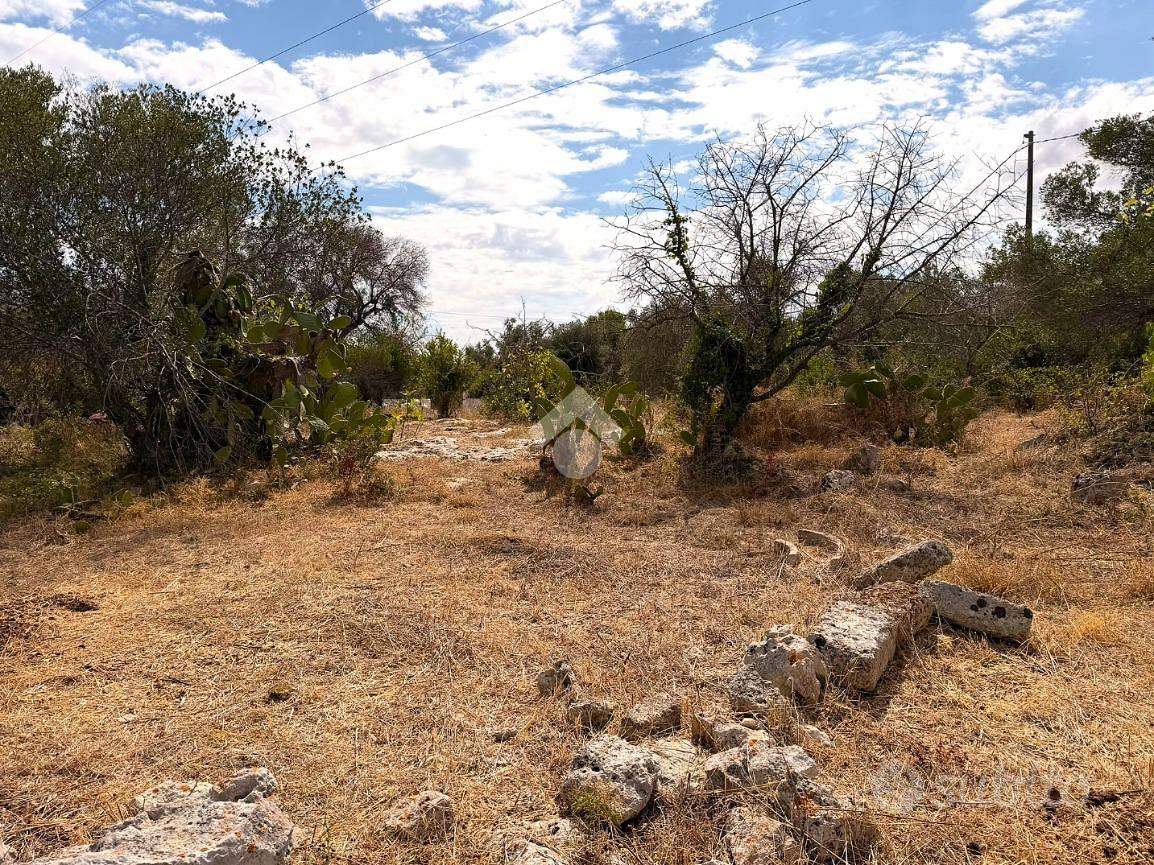 RUSTICO A CAROVIGNO - Vista 5