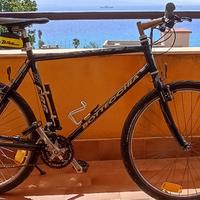 Mountain Bike BOTTECCHIA OASIS II