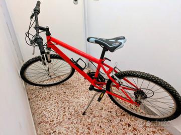 Mountain Bike 24