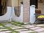 Immagine 6