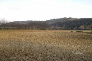 Terreni agricoli