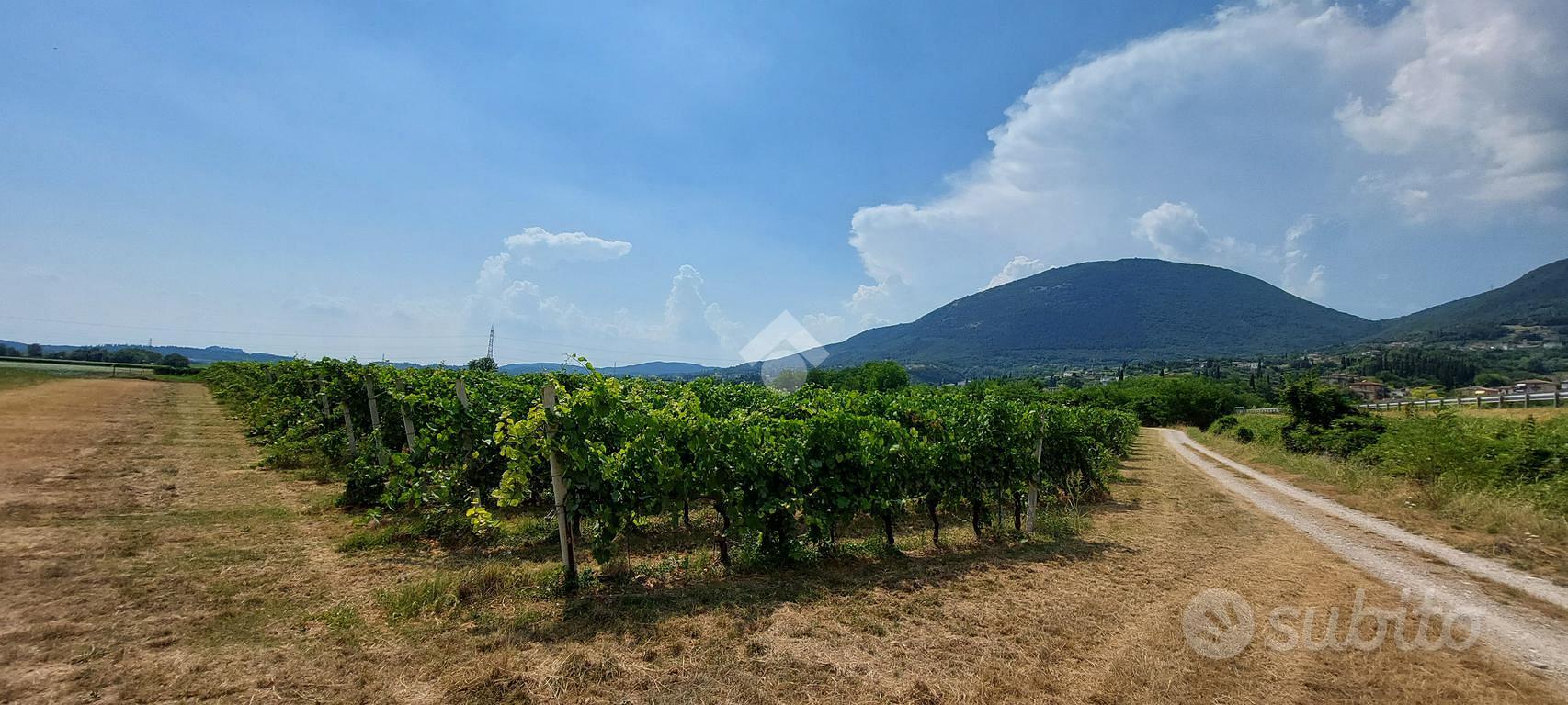 TER. AGRICOLO A CAPRINO VERONESE - Vista 3