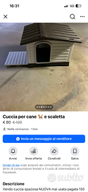 Cuccia per cane 