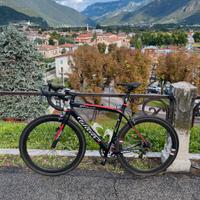 Wilier gtr