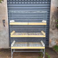 razziere da 120cm domus molinari 