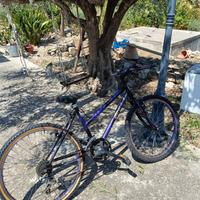 Bici Mountain Bike per ragazzine anni 2000