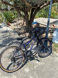 Bici Mountain Bike per ragazzine anni 2000
