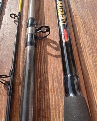 Canna TUBERTINI POTENTISSIMA