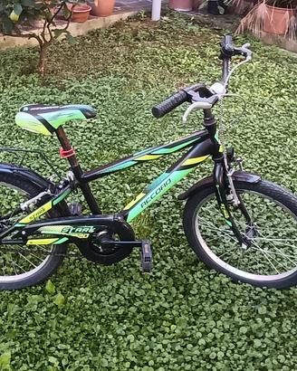 bicicletta bambino 