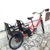 Bicicletta gemellare