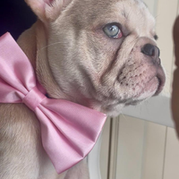 Due maschietti e una femminuccia