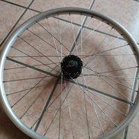 Vari tipi di ruote a 16, 20, 24, 26