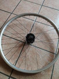 Vari tipi di ruote a 16, 20, 24, 26