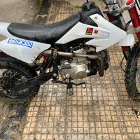 Pit bike 125