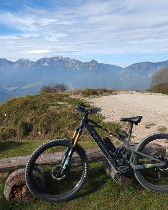 Mondraker Crafty Carbon R 2025