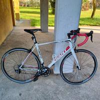 Giant Defy tg L
