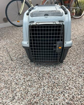 Kit per cane grande