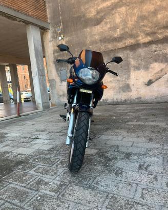 Suzuki XF 650 Freewind