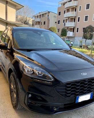 FORD Kuga 3ª serie - 2020