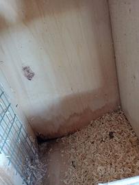 Nido per parrocchetti