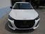 Immagine 7