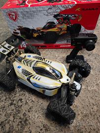 Rlaarlo DSK buggy 1/8 4WD brushless