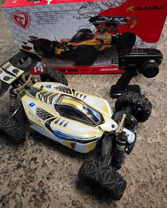 Rlaarlo DSK buggy 1/8 4WD brushless