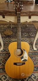 Chitarra elettroacustica Takamine EG 230