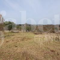 Terreno Agricolo Manziana [TE40VRG]