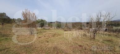 Terreno Agricolo Manziana [TE40VRG]