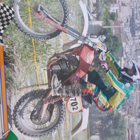 Fantic replica 50