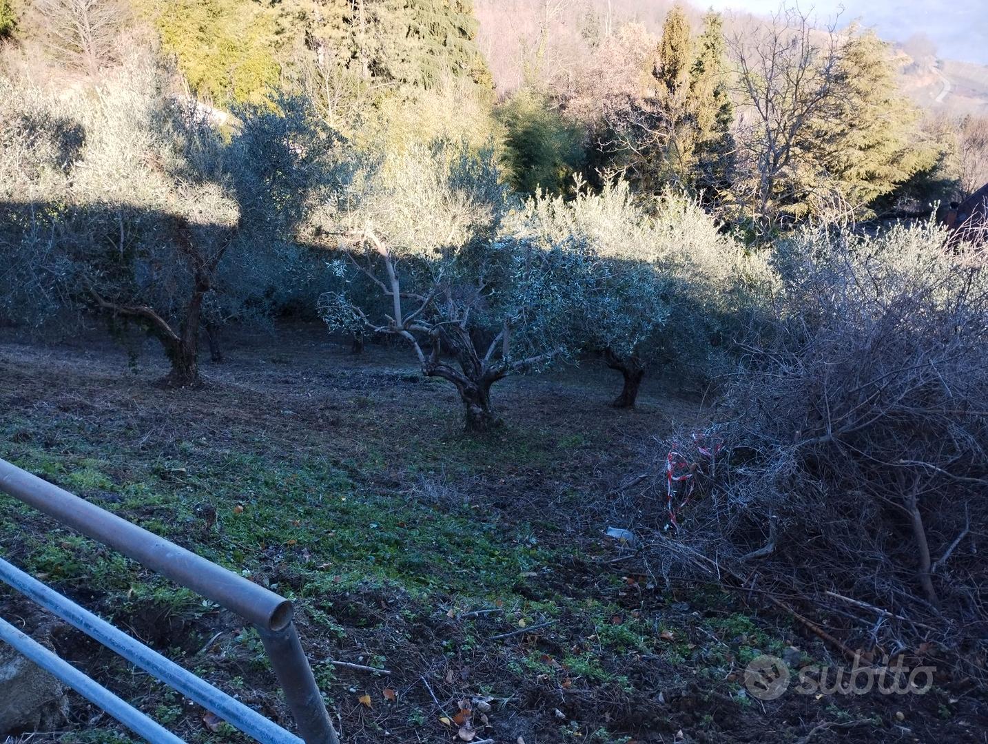 Terreno agricolo - Vista 3