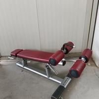 Life fitness sit up bench