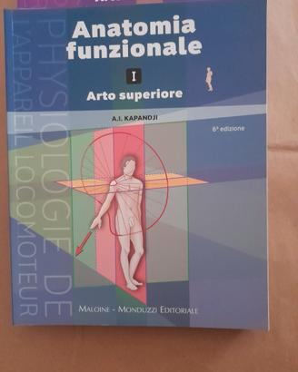 anatomia