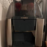 Spremiagrumi professionale(arance,limoni,melograni