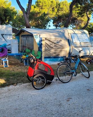 Carrello bici bimbi