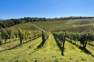 Agriturismo con centro benessere e piscina