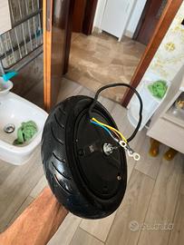 ruota motore brushless 250W Ninebot F25e