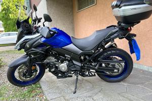 Suzuki w strom 650