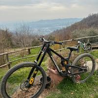 Propain Rage CF3 2025