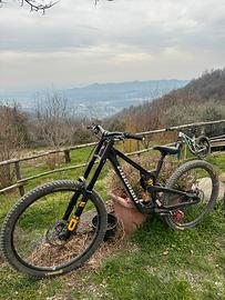 Propain Rage CF3 2025
