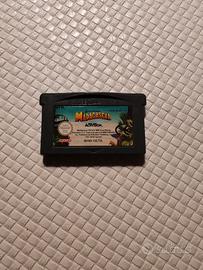 Videogioco Madagascar Game Boy