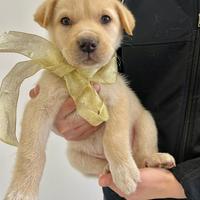 Impossibile non innamorarsi